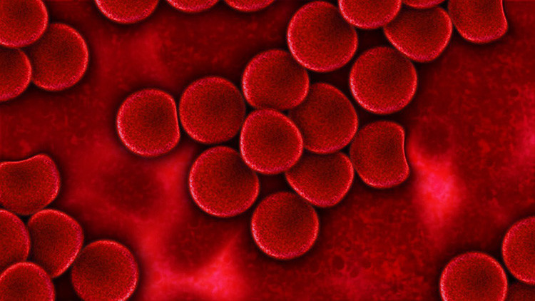Descubren cómo las células sanguíneas se transforman en cáncer