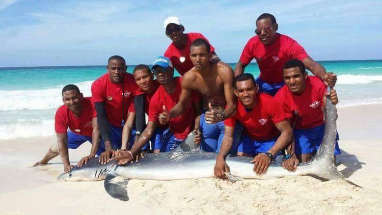Arrastran a un tiburón a la playa para tomarse fotos con él y lo matan (fotos, video)