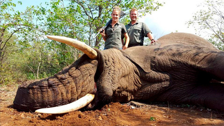 Una glamurosa cazadora de animales en extinción ataca a sus críticos