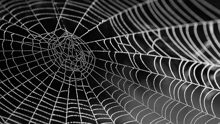 Los soldados de EE.UU. se blindarán con una armadura de telaraña