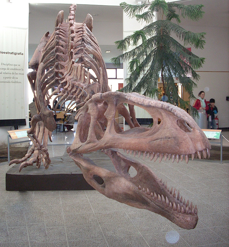 Argentina, pionera en la fabricación de dinosaurios 'para llevar' - RT