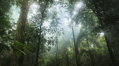 Fotos: Conozca a los 'Mowgli' de nuestros días