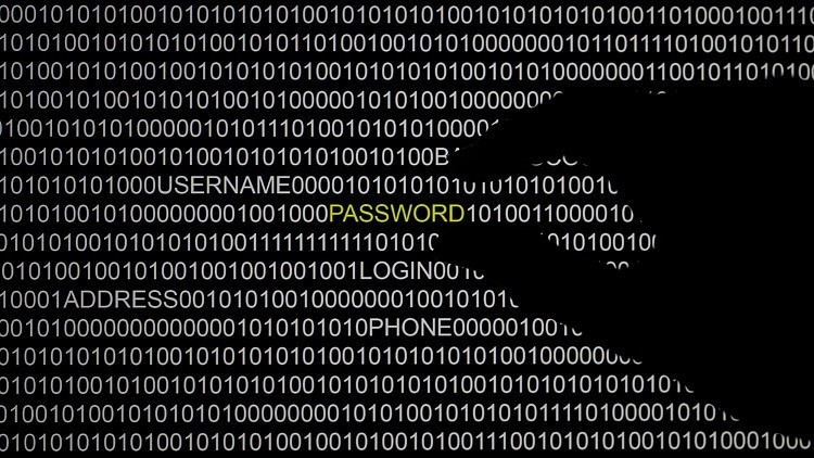 Un 'hacker' publica datos personales de los congresistas demócratas