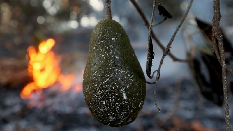 Resultado de imagen de donde compran oro en su piedra original