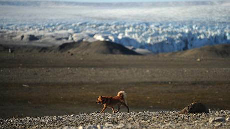 Captan primeras imágenes de dos nuevas islas en el Ártico ruso