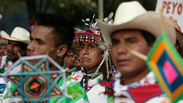 Diversidad En México