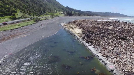 El lecho marino queda a la vista tras el terremoto de 7,8 en Nueva Zelanda (video)
