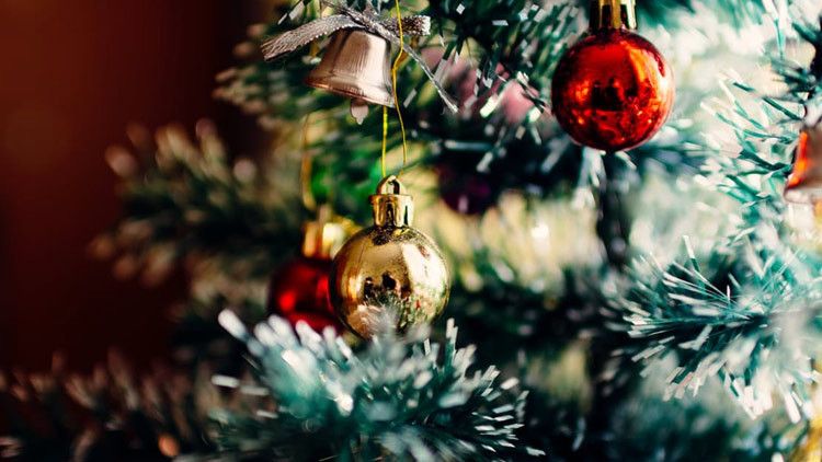 Una mortífera serpiente venenosa se esconde en un árbol de Navidad (Foto)