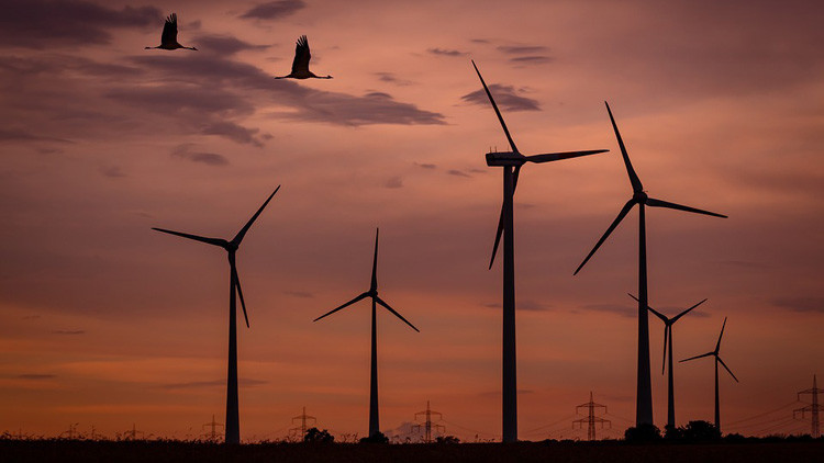 ¿Solo el principio?: Todos los trenes neerlandeses funcionan con energía eólica