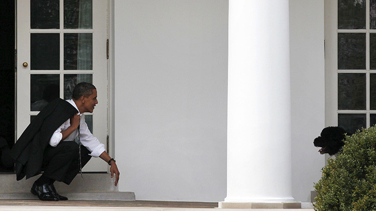 La perra de los Obama muerde a una joven en la Casa Blanca (FOTOS)