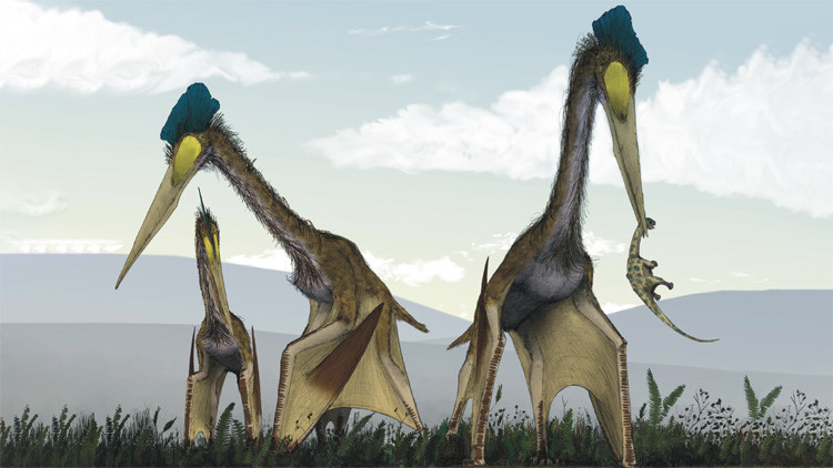 Hallan fósiles del mayor 'monstruo' prehistórico volador que 'desayunaba' dinosaurios 