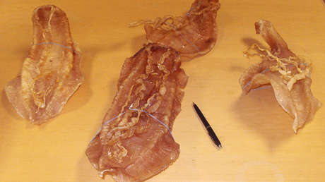Totoaba: El pez afrodisíaco mexicano que cotiza más que la cocaína