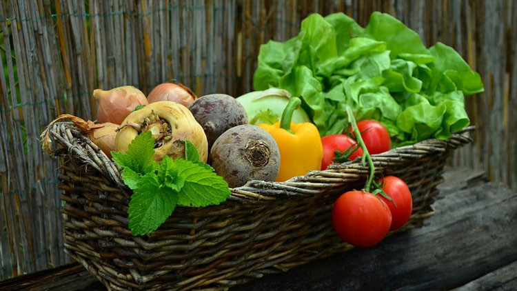 El popular vegetal de América Latina que contiene "un potente veneno"