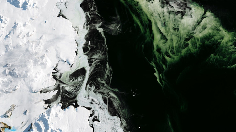 Resuelven el misterio del hielo verde hallado en la Antártida