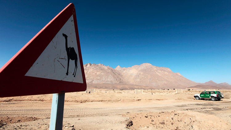 Un arqueólogo responsabiliza a la acción humana del surgimiento del Sáhara