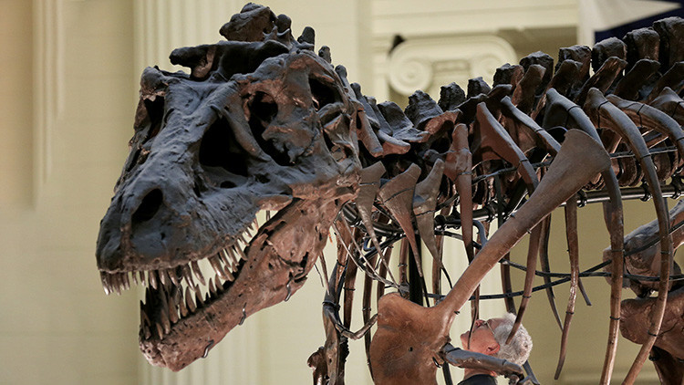 Un revolucionario estudio científico pone 'patas arriba' la clasificación actual de los dinosaurios