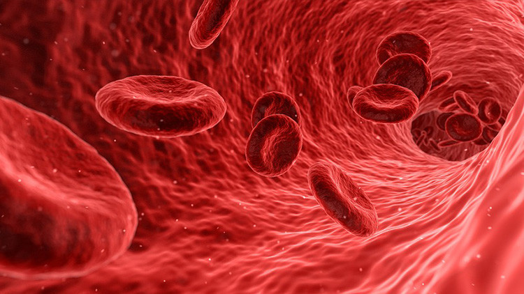 Descubren una función desconocida de los pulmones (VIDEO)
