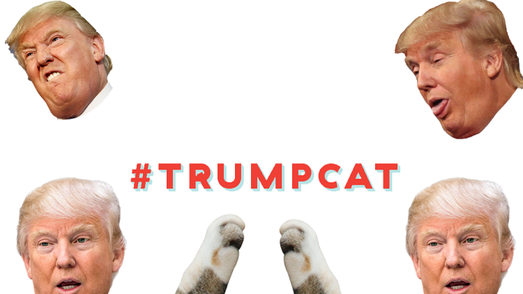 ¿Game over?: Abogados de Trump buscan cerrar una web que permite arañar a Trump con zarpas de gato