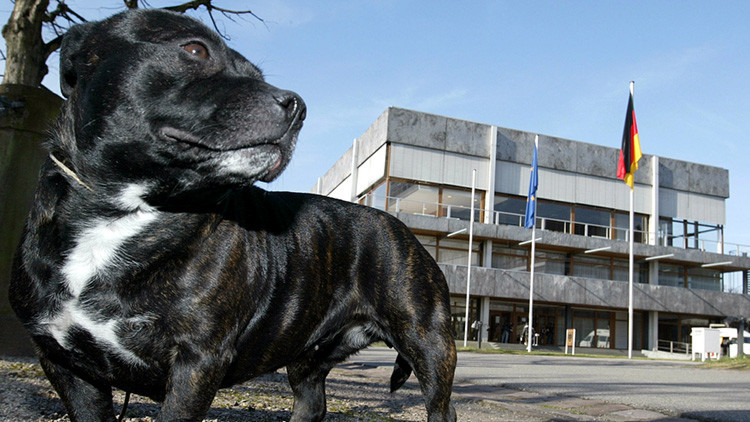 Un hombre muere atacado por su propio perro durante la grabación de un programa de la BBC
