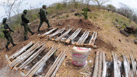 ¿La mayor del mundo? La fosa clandestina más grande de América Latina está en Veracruz