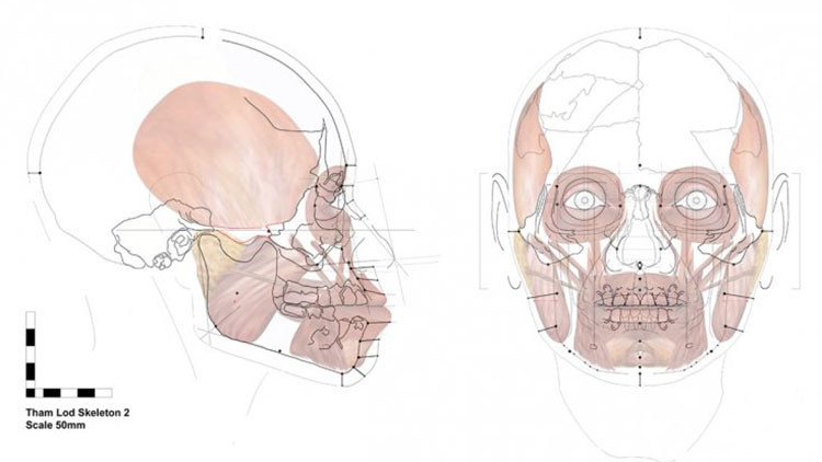 Reconstruyen El Rostro De Una Mujer Que Vivió Hace Más De 13000 Años Rt 8529