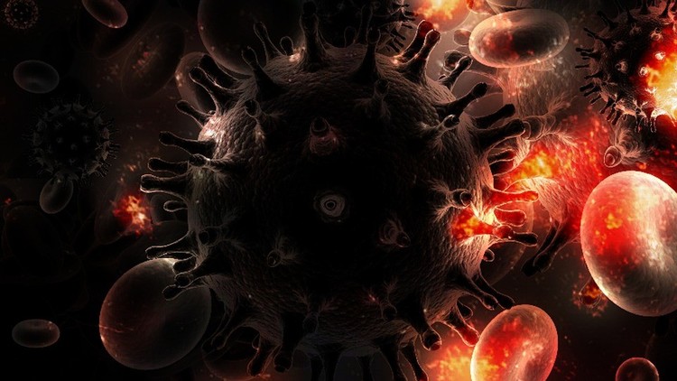 Científicos descubren nuevos tipos de virus gigantes