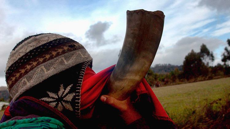 Crean un 'software' para aprender el idioma mapuche en una universidad de Chile