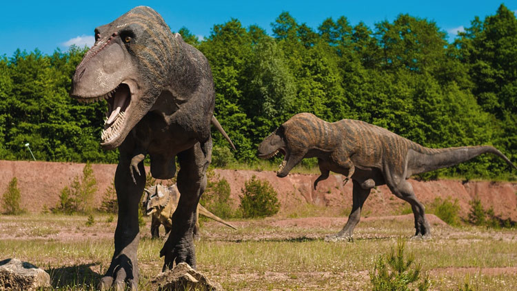 Encuentran un vínculo peculiar entre los volcanes y el auge de los dinosaurios