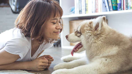 Unos científicos descubren la principal diferencia entre humanos y animales