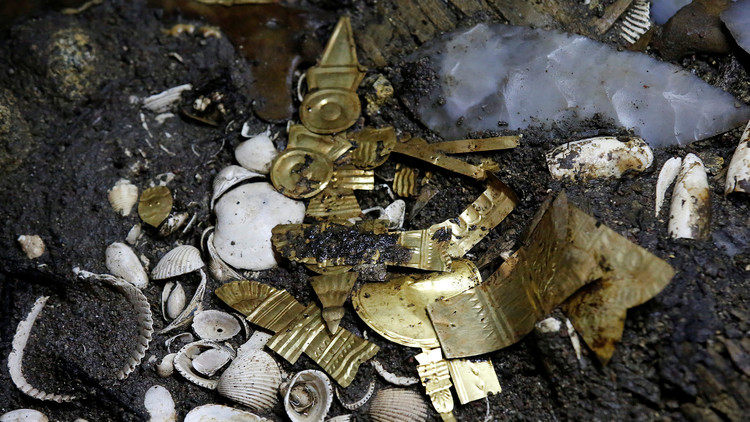 Encuentran un lobo cubierto de oro en el corazón de México
