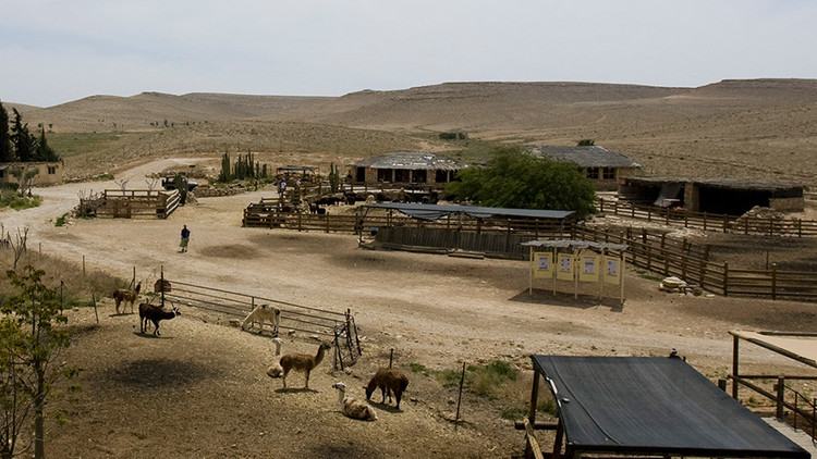 El Ejército de Israel reemplazará sus llamas de combate (FOTO)