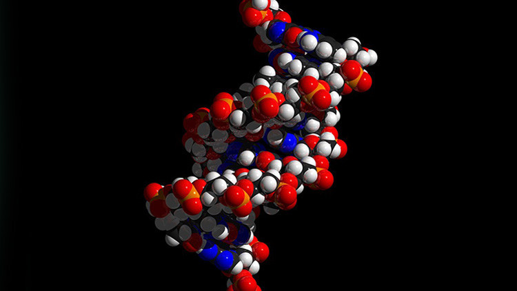 VIDEO: Científicos logran insertar una imagen GIF en el ADN de bacterias vivas y reconstruirla