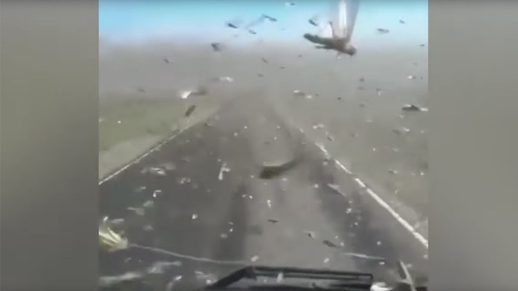 "Dejan la tierra desnuda": una plaga de langostas invade el sur de Rusia (VIDEO)