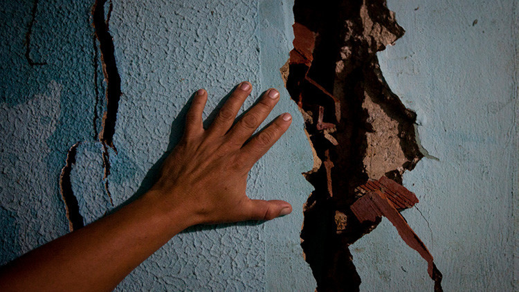 Foto: Un usuario de Reddit halla la momia de una extraña criatura durante unas obras en su casa