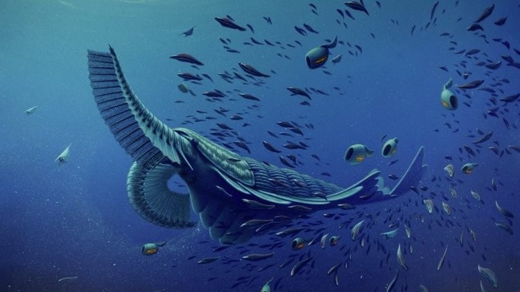 Descubren el misterio de la aparición de los primeros animales de la Tierra