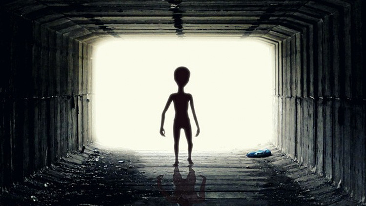 Astrobiólogos explican qué aspecto podrían tener los alienígenas