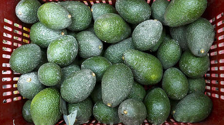 Propiedades de las capsulas de aguacate