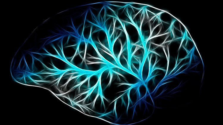 ¿A quién mata primero? El alcohol afecta de manera diferente al cerebro de hombres y mujeres