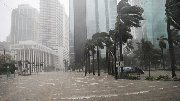 FOTO DE IMPACTO: Así falleció una de las primeras víctimas de Irma en Florida