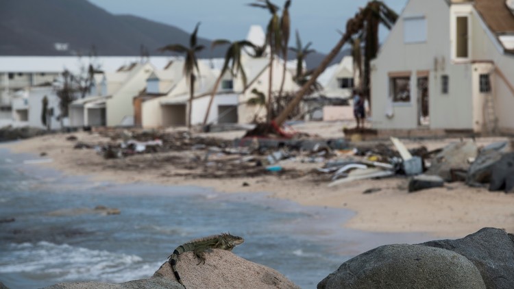 Infierno en el paraíso: hambre y saqueo en la isla de San Martín arrasada por Irma (FOTOS)
