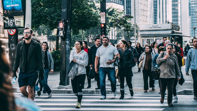 Los científicos explican por qué somos cada vez más tontos