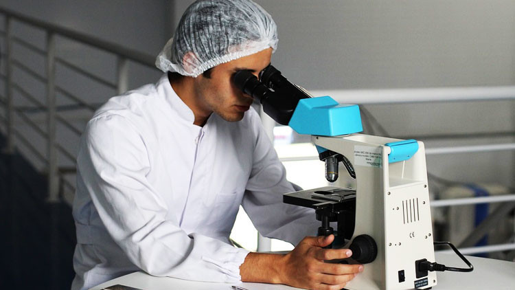 Los científicos señalan el virus más letal del mundo