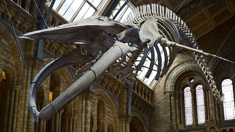 Increíble 'batalla' en Twitter entre dos museos londinenses
