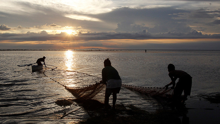 Monstruosa criatura hallada en el mar desconcierta a los habitantes de Filipinas (FOTOS)