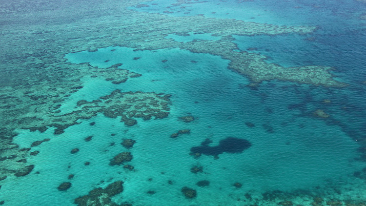 VIDEO: Gracias a Google Maps descubren un nuevo agujero azul en plena Gran Barrera de Coral