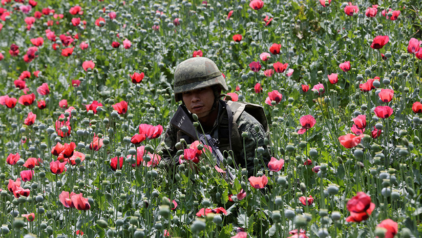 Guerra contra el narcotráfico: Asesinan a 102 alcaldes de México en menos de 10 años