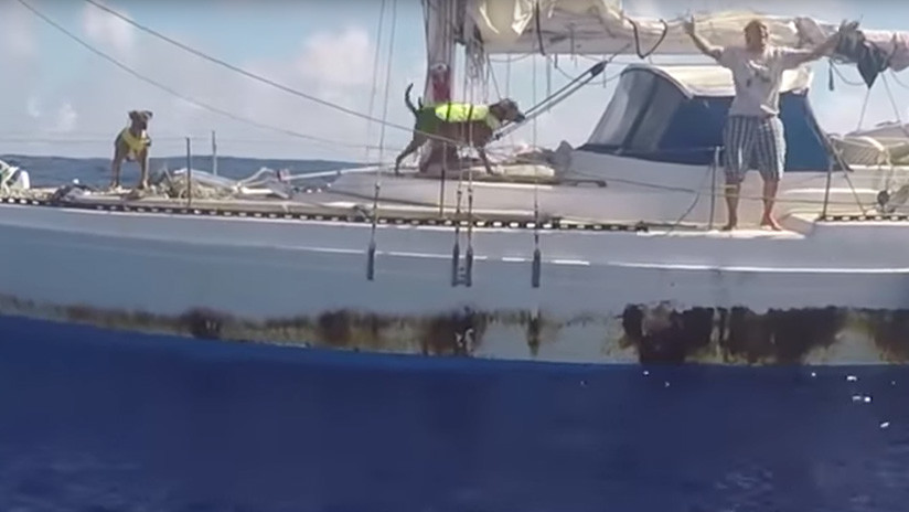 Rescatan a dos mujeres de EE.UU. que estuvieron 5 meses a la deriva en el Pacífico (VIDEO)