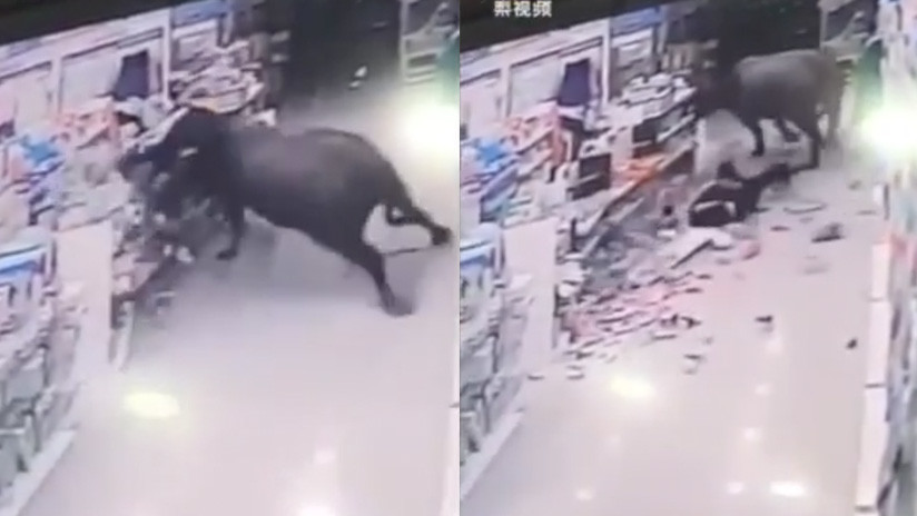 Un búfalo ataca a una embarazada en un supermercado en China (Fuerte video)