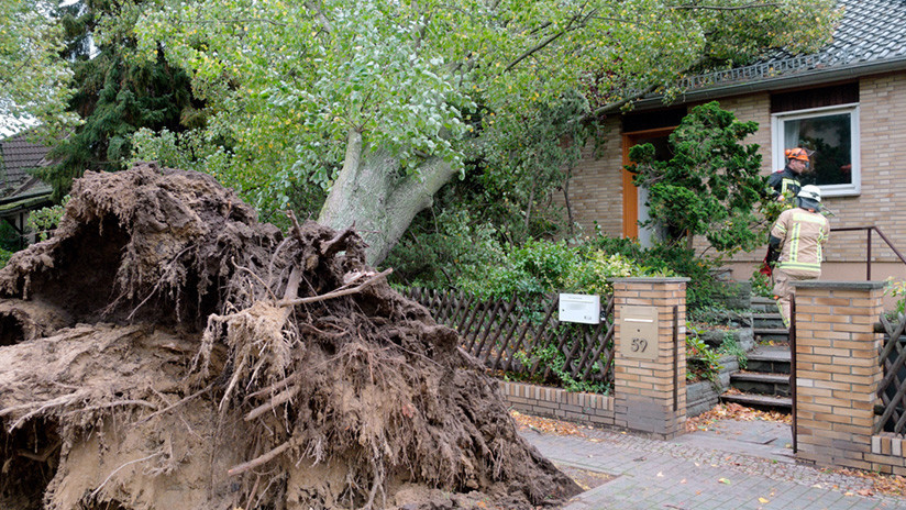 La tormenta Herwart sacude Alemania y provoca el estado de emergencia en Berlín (Fotos, Video)