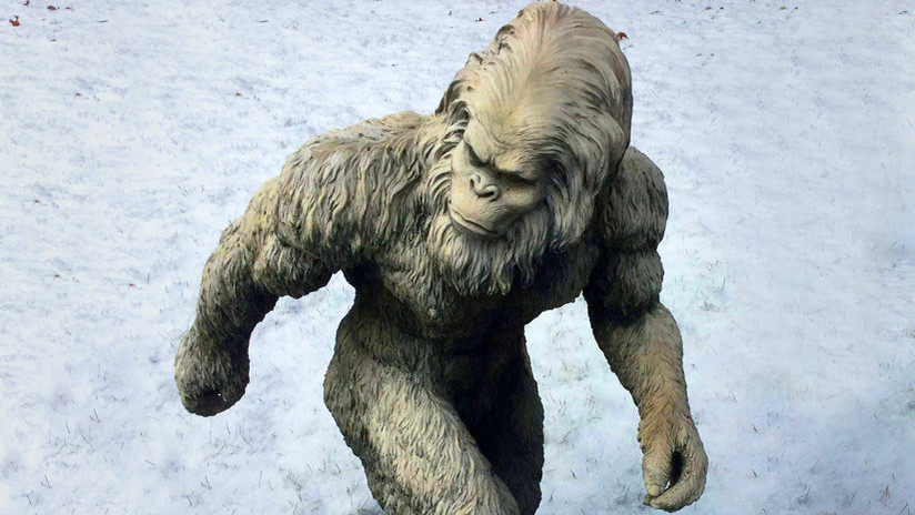 ¿Adiós Al Yeti? Científicos Afirman Haber Resuelto El Misterio Del ...